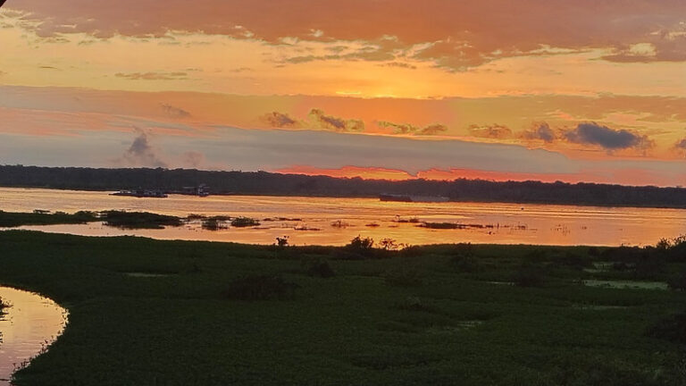 Ayaselva Ayahuasca Retreats 045 768x432