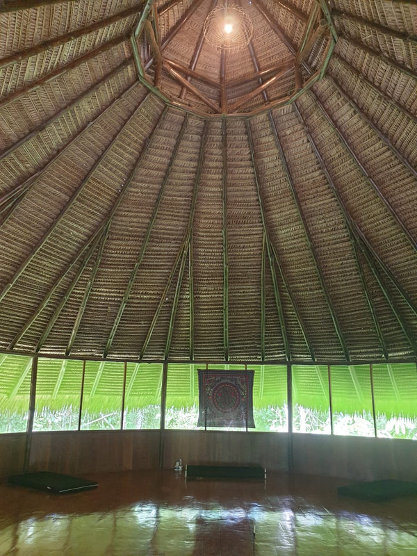 Ayaselva Ayahuasca Retreats 060