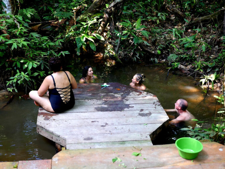 Ayaselva Ayahuasca Retreats 063 768x576
