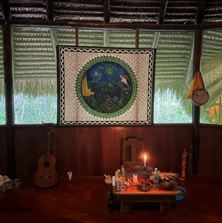 Ayaselva Ayahuasca Retreats 065 768x771