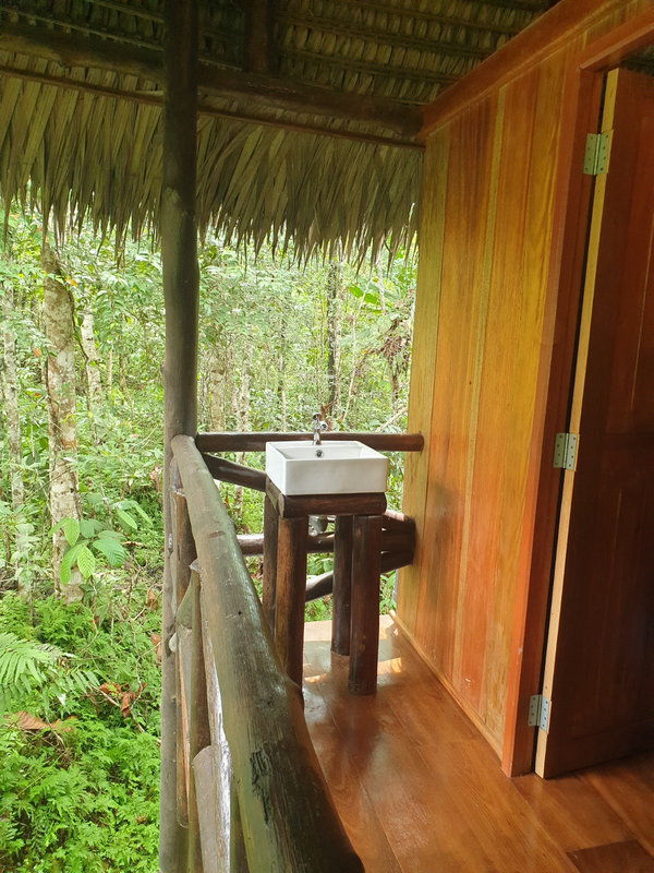 Ayaselva Ayahuasca Retreats 080