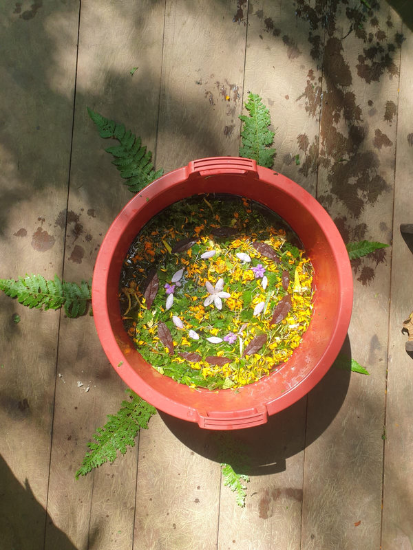 Ayaselva Ayahuasca Retreats 100