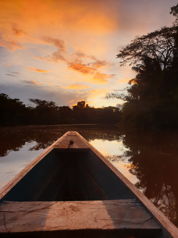 Ayaselva Ayahuasca Retreats 111