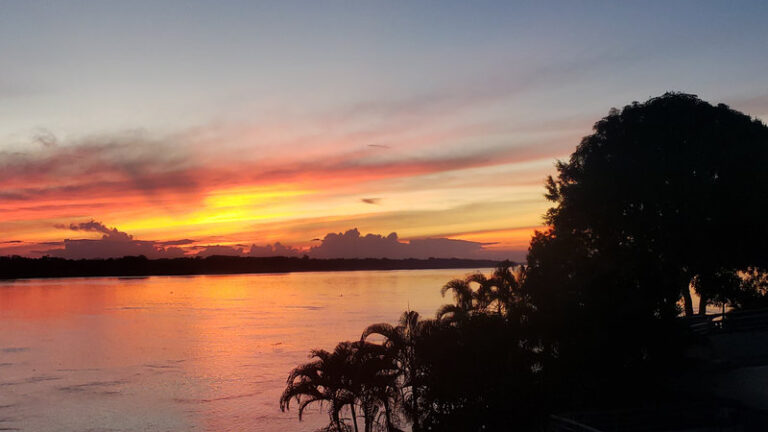 Ayaselva Ayahuasca Retreats 116 768x432