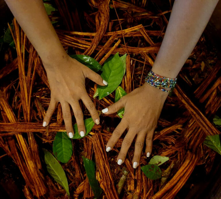 Ayaselva Ayahuasca Retreats 121 768x691