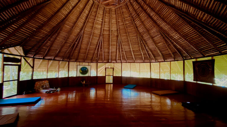 Ayaselva Ayahuasca Retreats 123 768x432