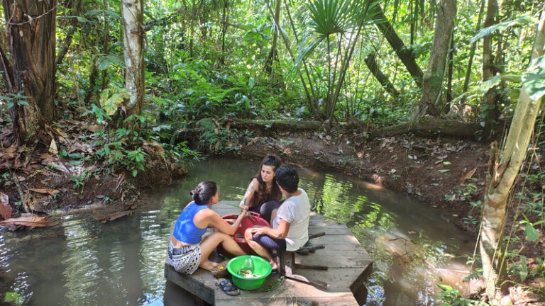 Ayaselva Ayahuasca Retreats 124 768x432