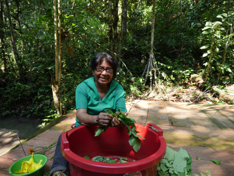 Ayaselva Ayahuasca Retreats 127 768x576