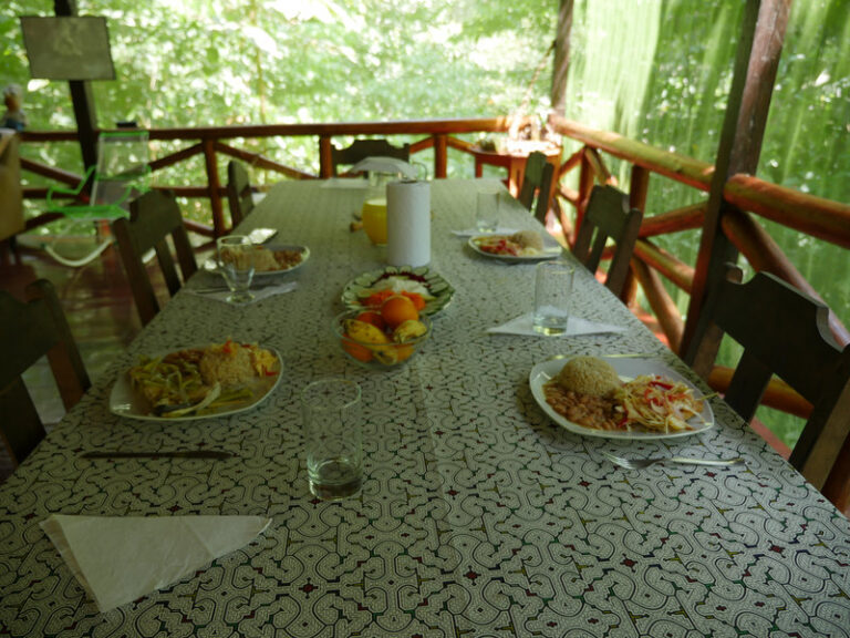 Ayaselva Ayahuasca Retreats 130 768x576