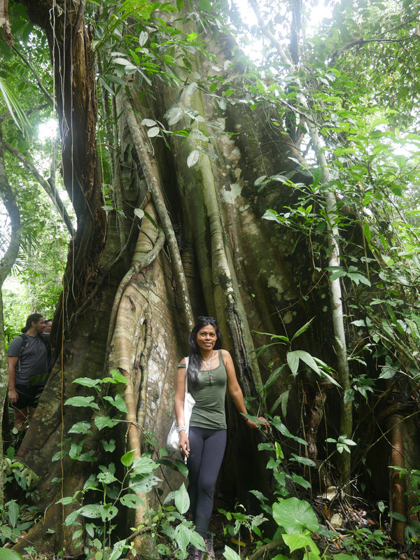 Ayaselva Ayahuasca Retreats 136