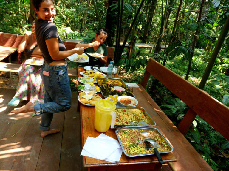 Ayaselva Ayahuasca Retreats 138 768x576