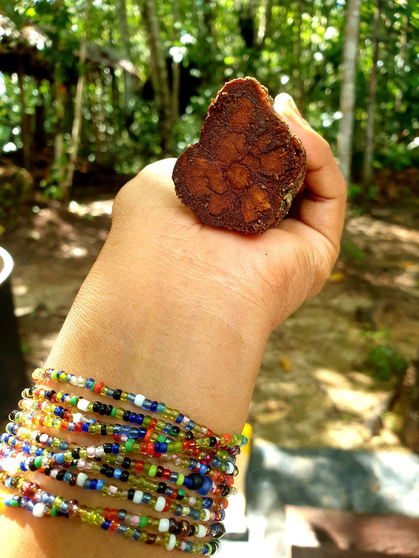 Ayaselva Ayahuasca Retreats 141