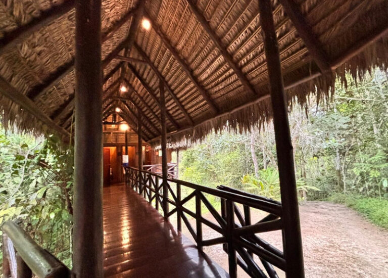 Ayaselva Ayahuasca Retreats 142 768x550