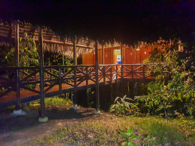Ayaselva Ayahuasca Retreats 147 768x576