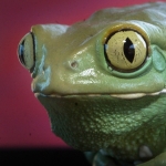 mark L. Avatar