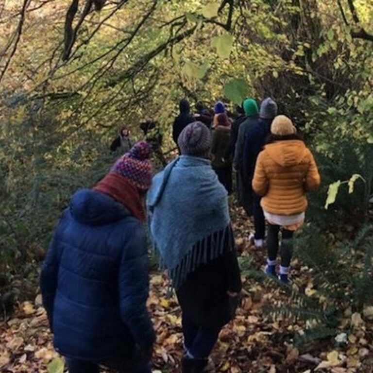 Walk Through the Woods 768x768