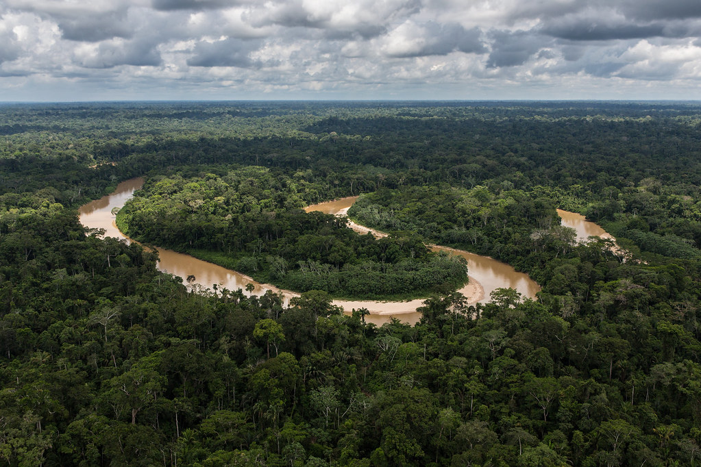 Aerial view of a river winding through the Amazon rainforest in Peru