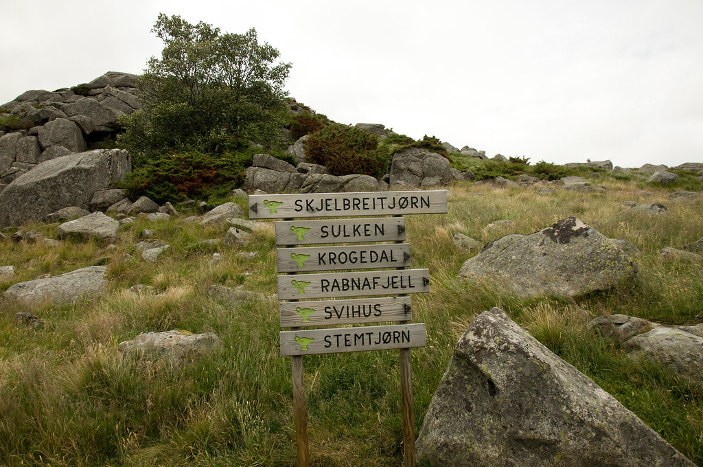 A wooden signpost at a fork in a hiking trail
