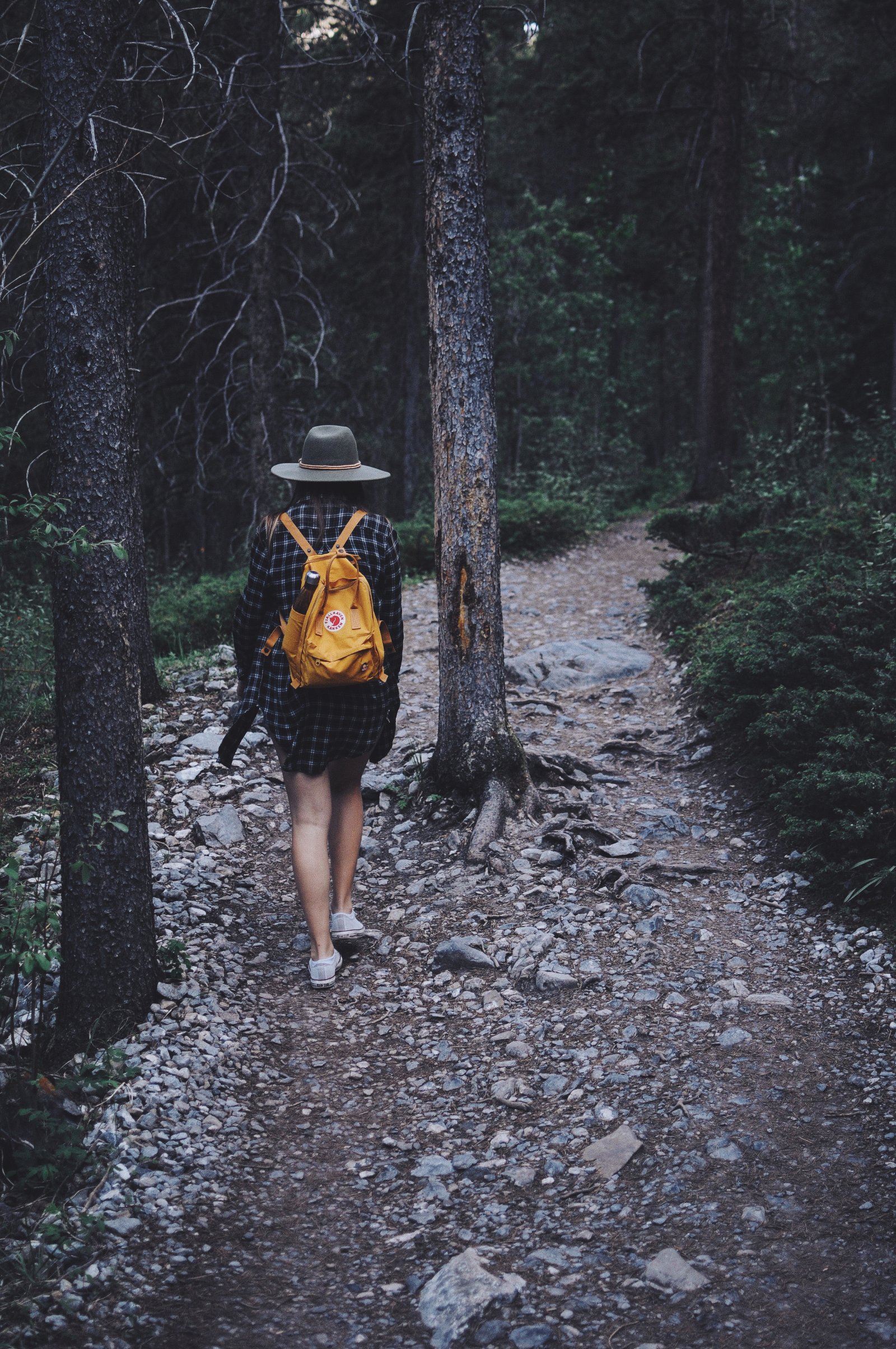 A traveler with a yellow backpack walking away along a rocky forest trail