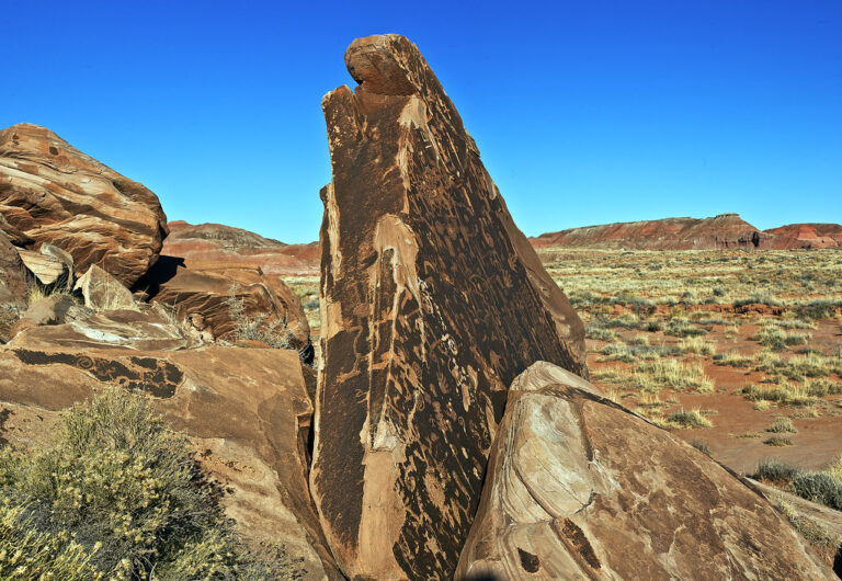 A tall rock covered in ancient petroglyphs in Petrified Forest National Park, Arizona