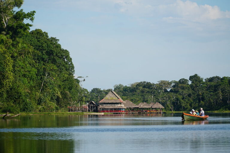 Thatched lodge buildings on a lake at the edge of the Amazon rainforest, with a small boat on the water