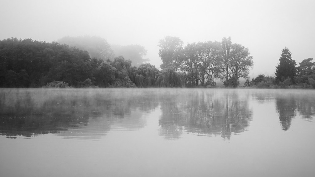 Trees reflected in a still, misty lake in black and white