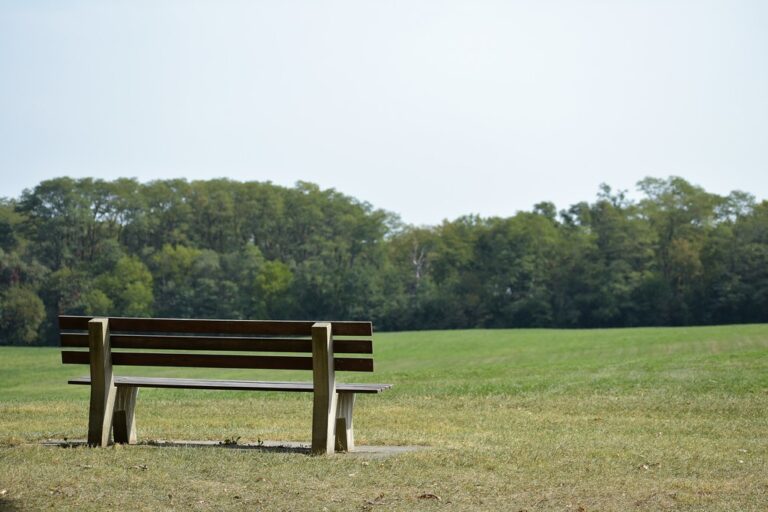 An empty wooden bench on a grassy field facing a line of trees