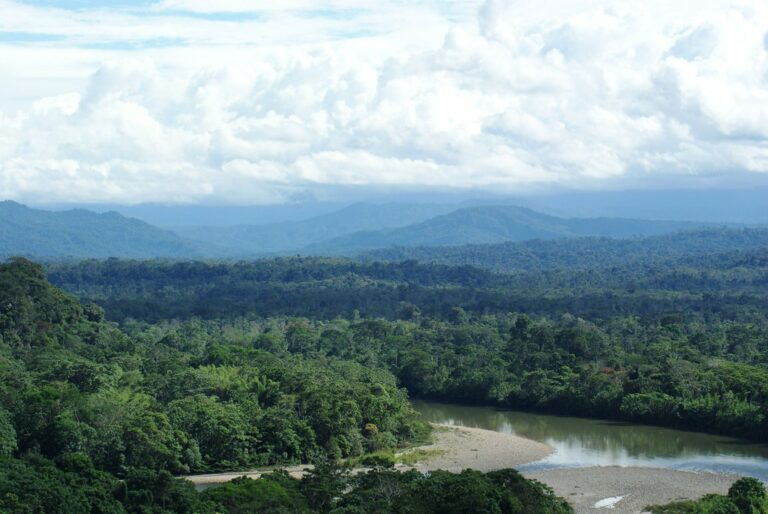 Amazon rainforest and a winding river below cloud-covered hills in Ecuador