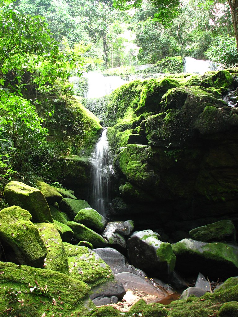 A small waterfall over moss-covered rocks in the rainforest of Ivindo National Park, Gabon