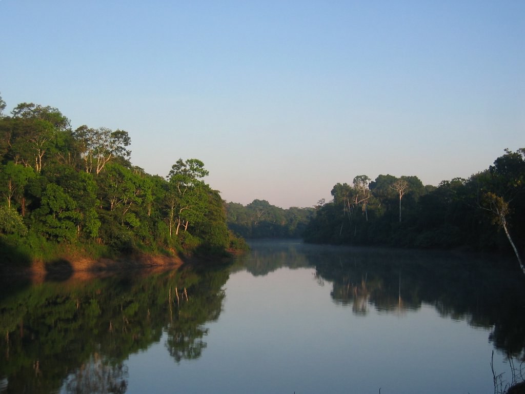 A still Amazon river at dawn, with rainforest reflected in the water