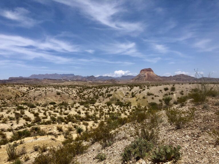 Chihuahuan Desert scrub and distant mountains under a blue sky in Big Bend National Park, Texas