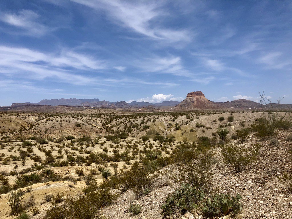 Chihuahuan Desert scrub and distant mountains under a blue sky in Big Bend National Park, Texas