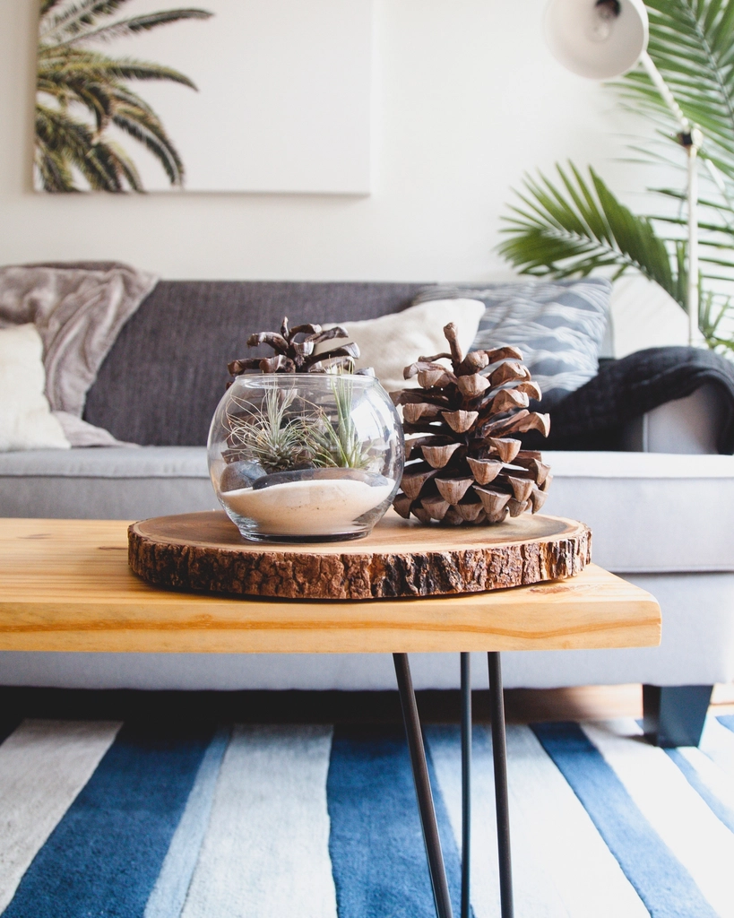 A quiet living room with a sofa, cushions, a throw blanket and plants