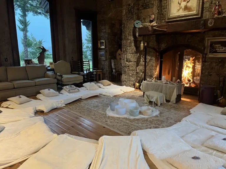 soundbowl fireplace 768x576